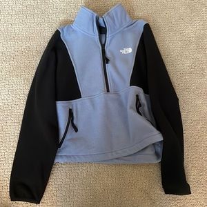 The north face fleece